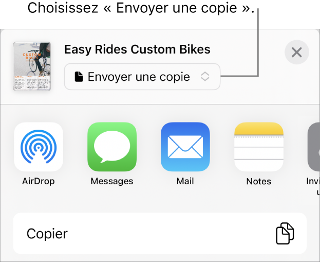 Le menu Partager avec l’option Envoyer une copie sélectionnée en haut.