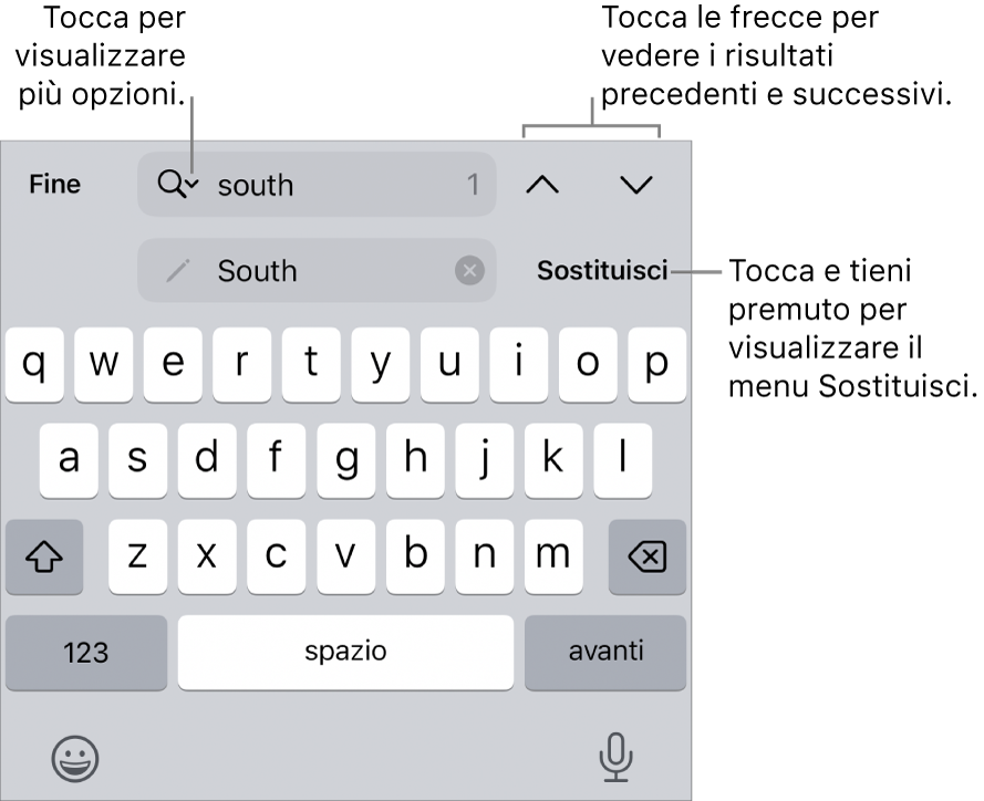 I controlli di “Trova e sostituisci” sopra alla tastiera con le didascalie delle opzioni di Ricerca, Sostituisci e i pulsanti “Freccia su” e “Freccia giù”.