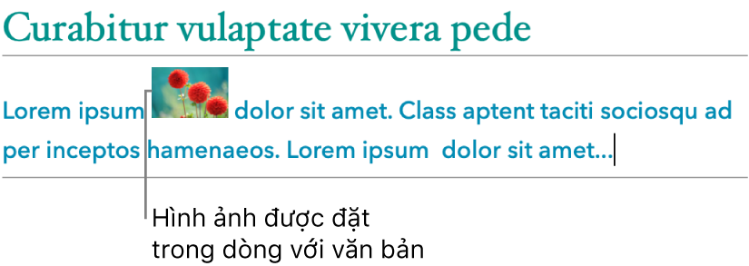 Một hình ảnh được đặt trong dòng với văn bản.