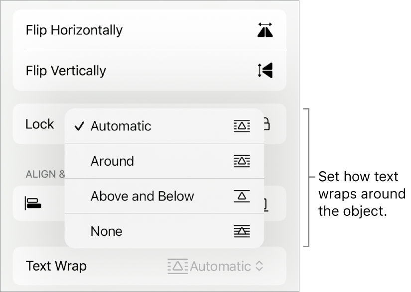 The Format controls with the Arrange tab selected. Below it are Text Wrap controls with Move to Back/Front, Move with Text and Text Wrap.