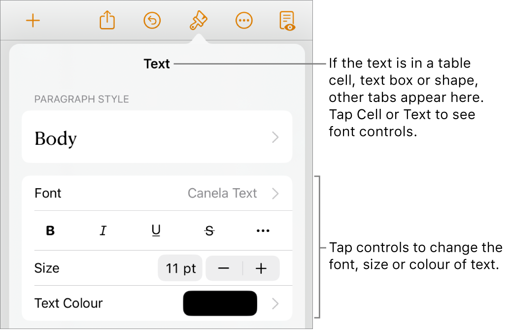 Text controls in the Format menu for setting paragraph and character styles, font, size and colour.