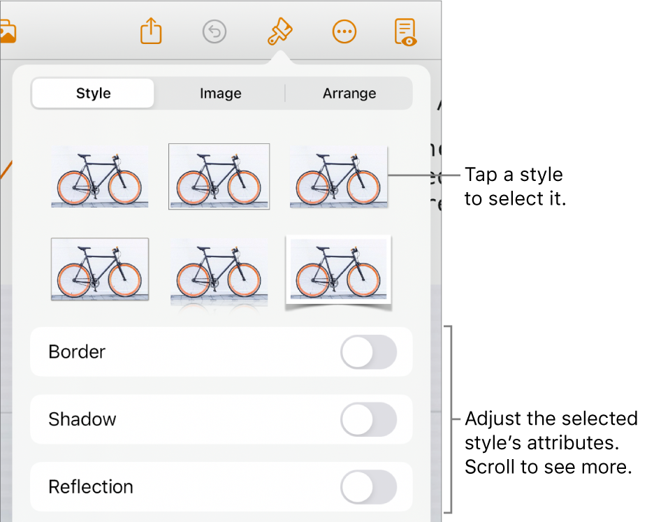 The Style tab of the Format menu with object styles at the top and controls below them to change the border, shadow, reflection and opacity.