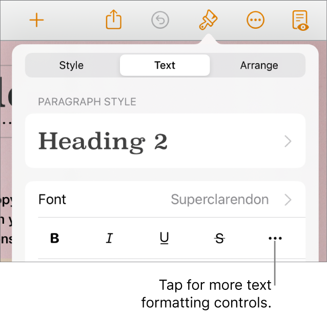 The Text tab of the Format controls, with a callout to the More Text Options button.