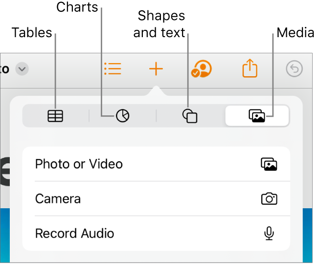 The Insert controls open with buttons for adding tables, charts, text, shapes, and media at the top.