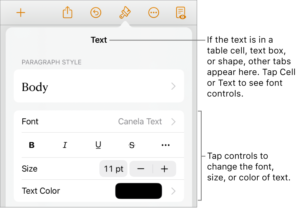 Text controls in the Format menu for setting paragraph and character styles, font, size, and color.