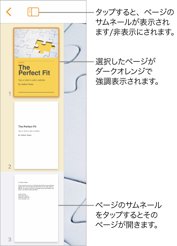 画面左側にある、ページのサムネール表示。ページが1つ選択されています。サムネールの上に「表示オプション」ボタンがあります。