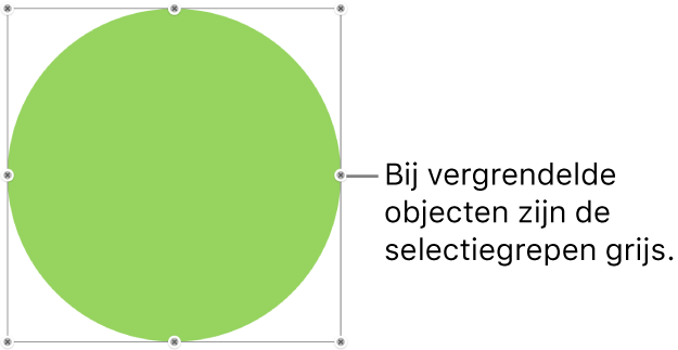 Een vergrendeld object met gedimde selectiegrepen.