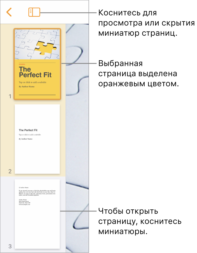 Панель «Миниатюры страниц» в левой части экрана. Показаны: раздел, состоящий из двух страниц, разделительная линия и одна страница следующего раздела. Кнопка «Вид» расположена над миниатюрами.