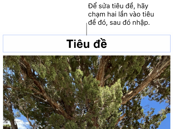 Chú thích giữ chỗ, “Tiêu đề”, xuất hiện bên dưới ảnh; đường viền màu lam xuất hiện xung quanh trường tiêu đề để cho biết tiêu đề đó đã được chọn.