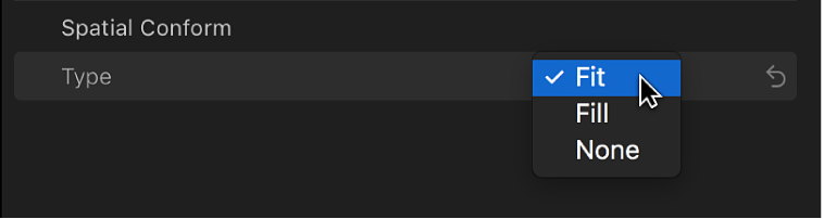 The Type pop-up menu in the Spatial Conform section of the Video inspector