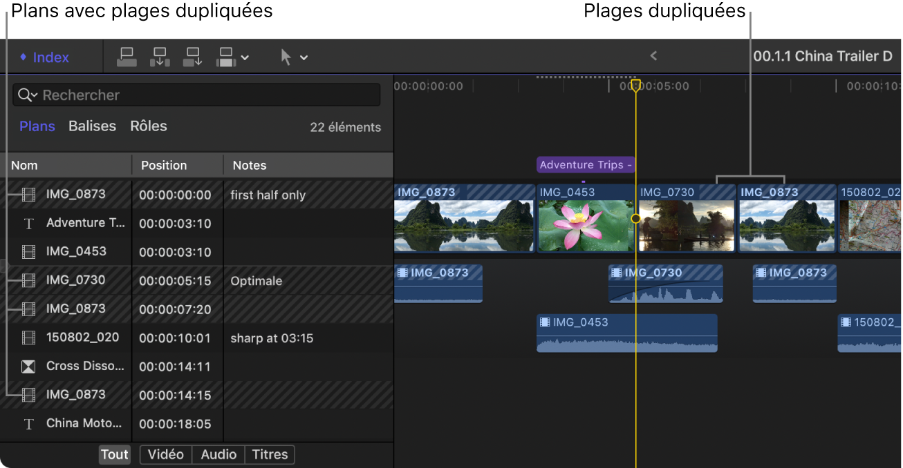 Index de la timeline et timeline affichant des plans contenant des doublons de plages mis en surbrillance avec des lignes diagonales