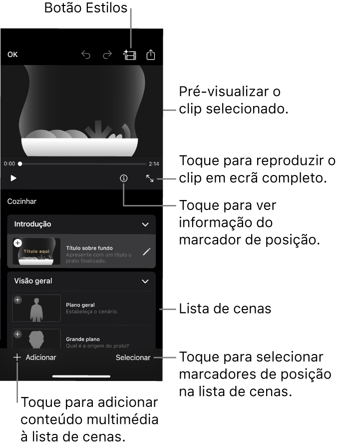 Um projeto de storyboard aberto, com o clip marcador de posição selecionado a aparecer no visualizador e na lista de planos por baixo.