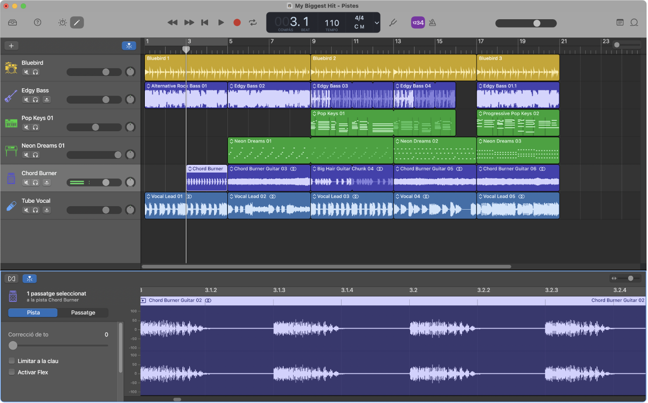 Projecte del GarageBand que s’està reproduint.