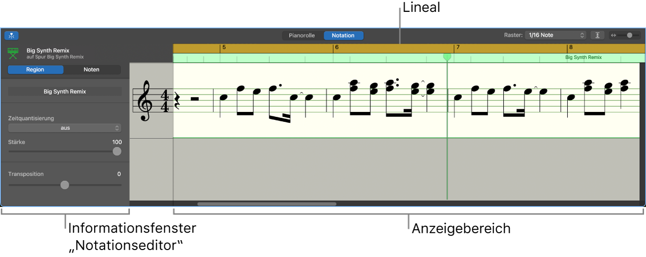 Notationseditor mit Informationsfenster und Anzeigebereich