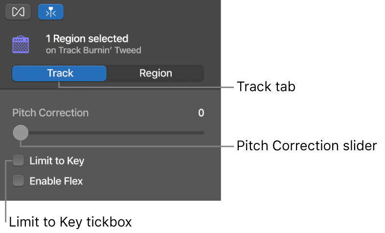 Audio Editor inspector in Track mode, showing Pitch Correction slider and Limit to Key tickbox.