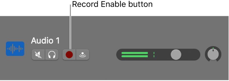 Track header showing Record Enable button.
