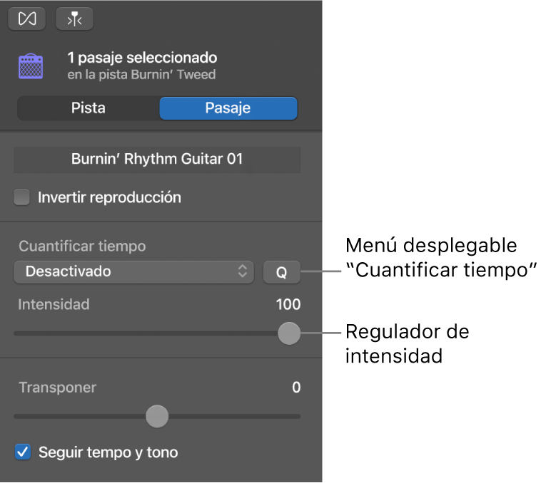Inspector del editor de audio, con el menú desplegable Cuantizar tiempo y el regulador de intensidad.