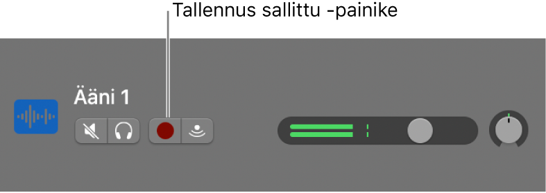 Raidan otsake, jossa näkyy Äänitys‑painike.