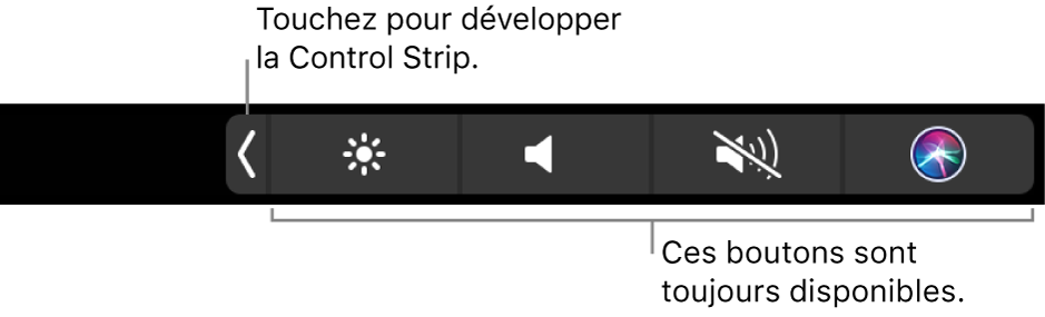 Figure Control Strip de la Touch Bar