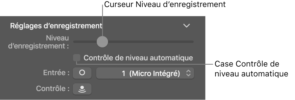 Curseur Niveau d’enregistrement et case Contrôle de niveau automatique dans l’inspecteur Smart Controls.