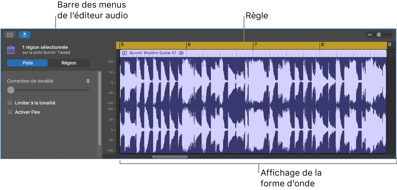 Éditeur audio avec une région sélectionnée.