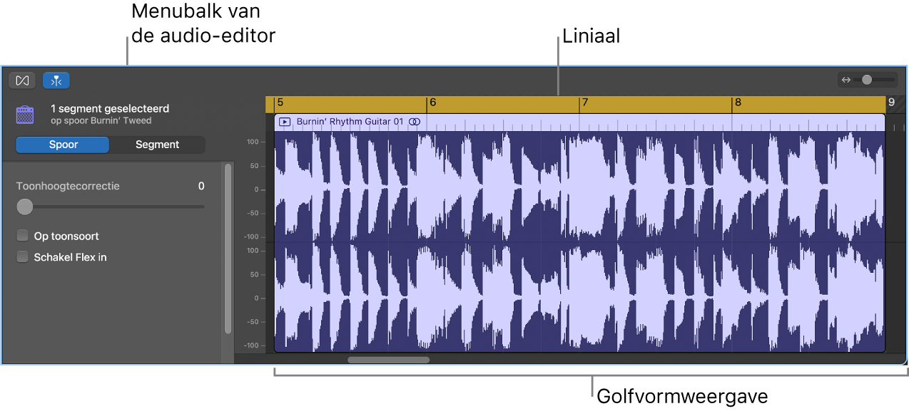 Audio-editor met geselecteerd segment.