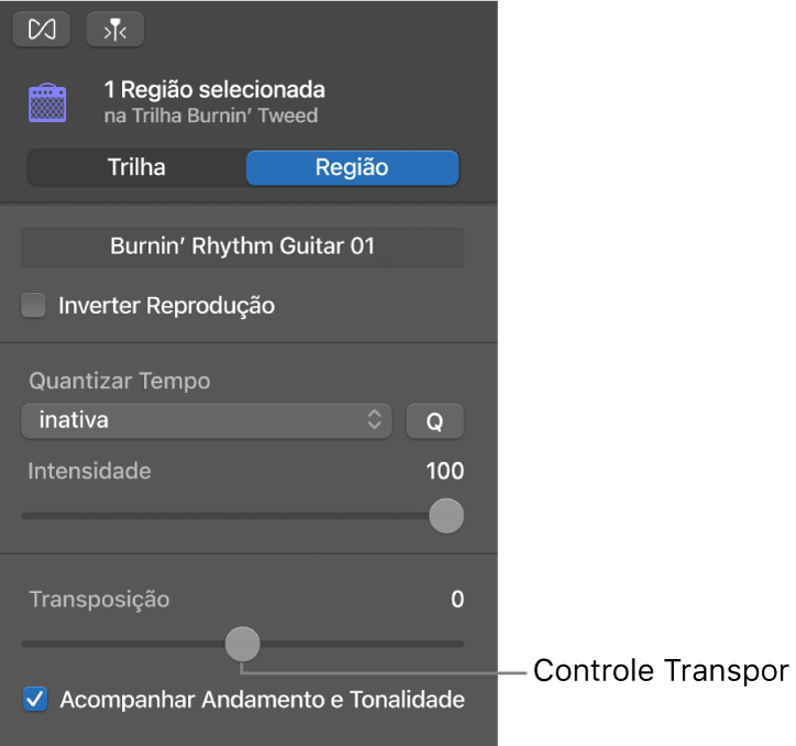 Inspetor do Editor de Áudio no modo Região, exibindo o controle deslizante Transpor.