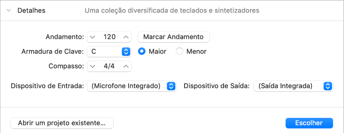 Área de detalhes do Selecionador de Projetos aberta, exibindo os parâmetros