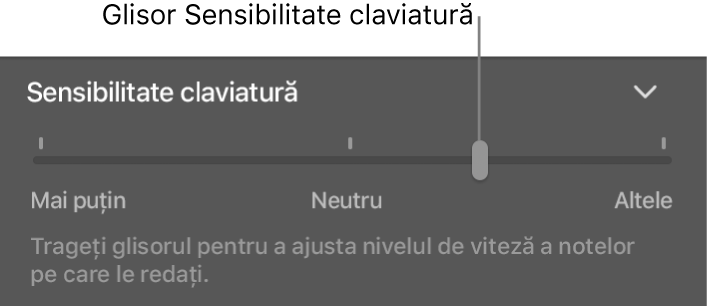 Glisor Sensibilitate claviatură în inspectorul Smart Controls