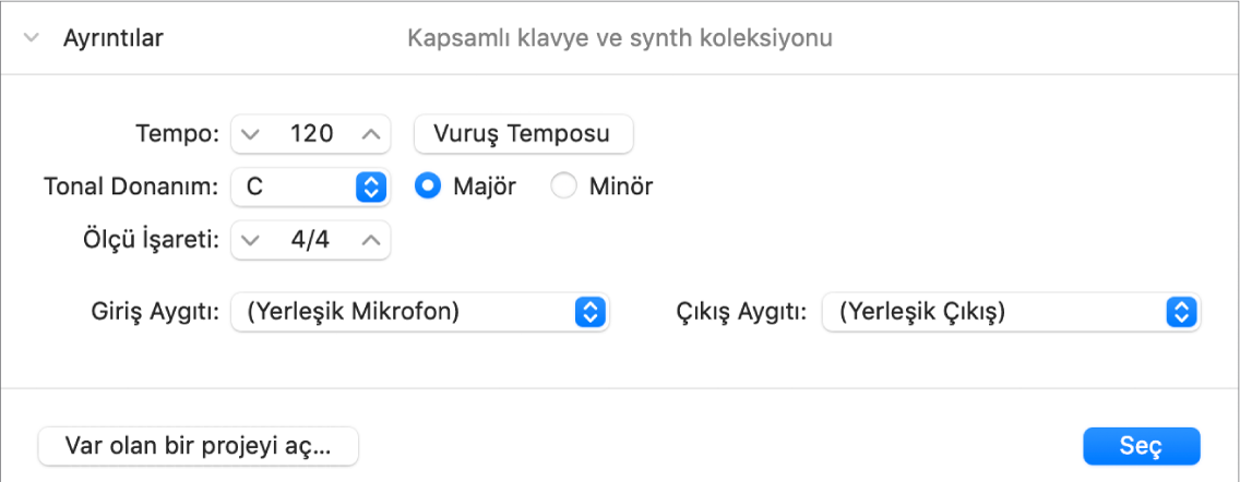 Proje Seçici’nin Ayrıntılar alanı açık ve parametreleri gösteriyor