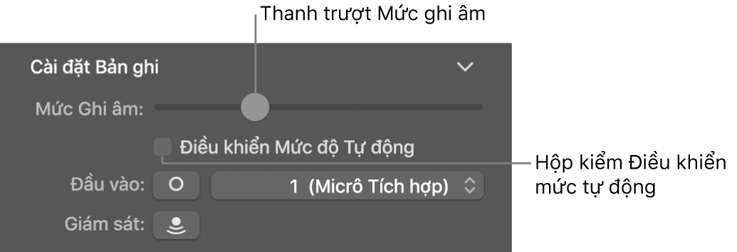 Thanh trượt Mức ghi âm và hộp kiểm Điều khiển mức tự động trong trình kiểm tra Smart Control.