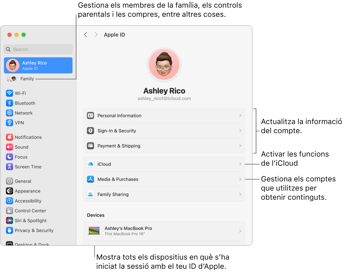 A la configuració del sistema, es veu la secció de l’ID d’Apple, amb opcions per actualitzar la informació del compte, activar o desactivar les funcions de l’iCloud o gestionar els comptes de contingut multimèdia, i la secció “En família”, amb opcions per configurar un grup familiar, establir controls parentals i administrar les compres, entre altres coses.