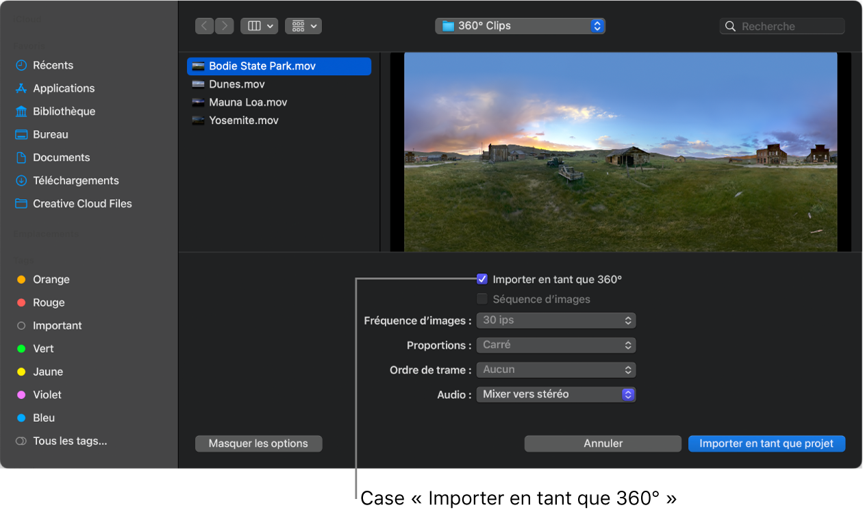 Case « Importer en tant que 360° » dans la zone de dialogue d’importation