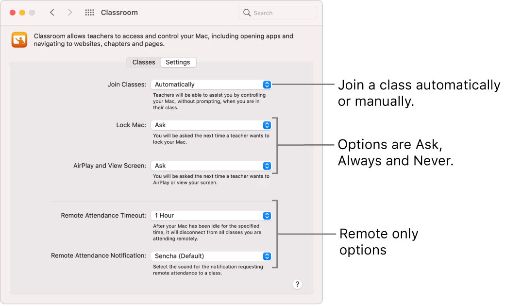 Students’ view of Classroom permissions that are available to them.