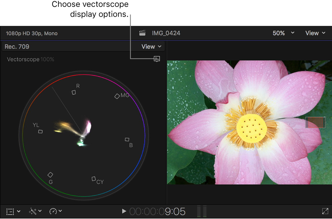 Das Vectorscope links neben dem Viewer