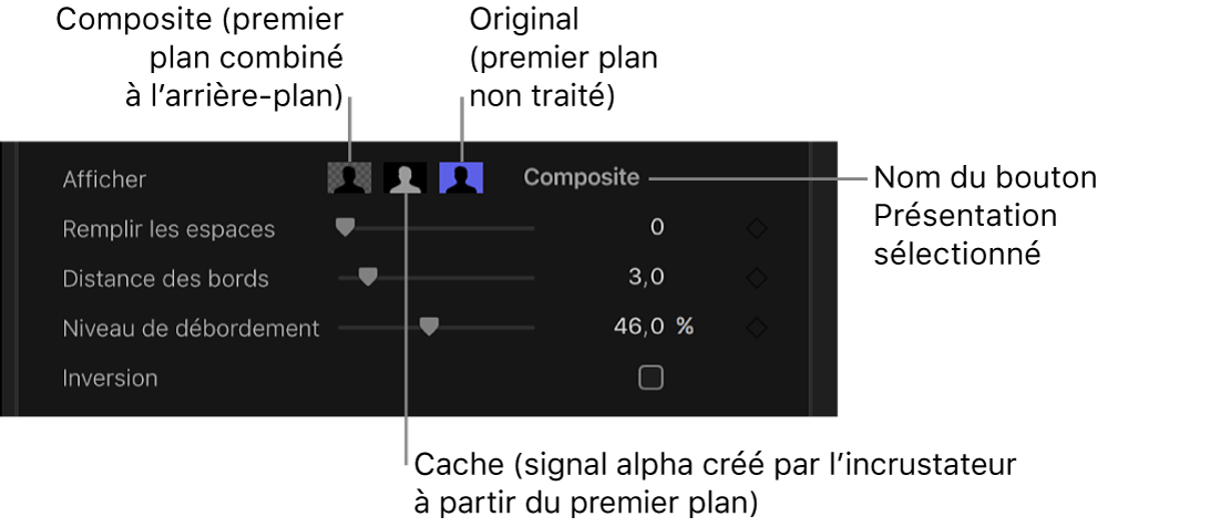 Commandes de présentation dans l’inspecteur vidéo