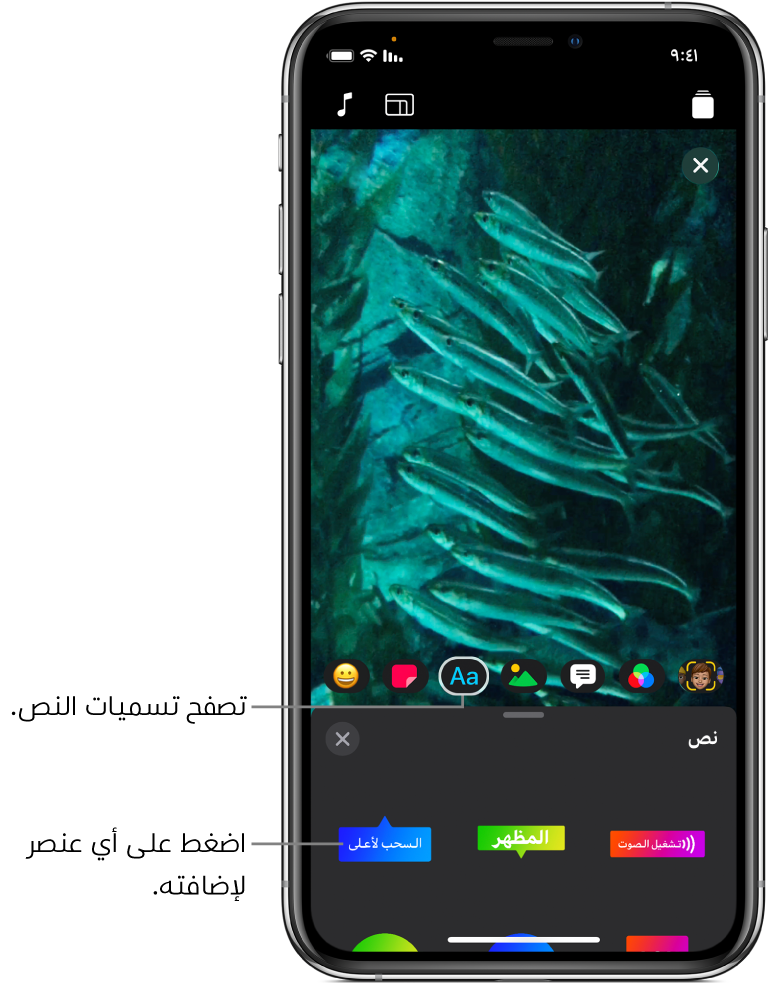 صورة فيديو في العارض، مع تحديد زر نص، وتظهر خيارات الرقعة النصية في الأسفل.
