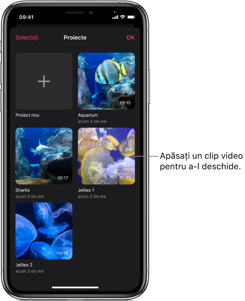 Ecranul Proiecte afișând un buton Proiect nou și miniaturile clipurilor video existente.