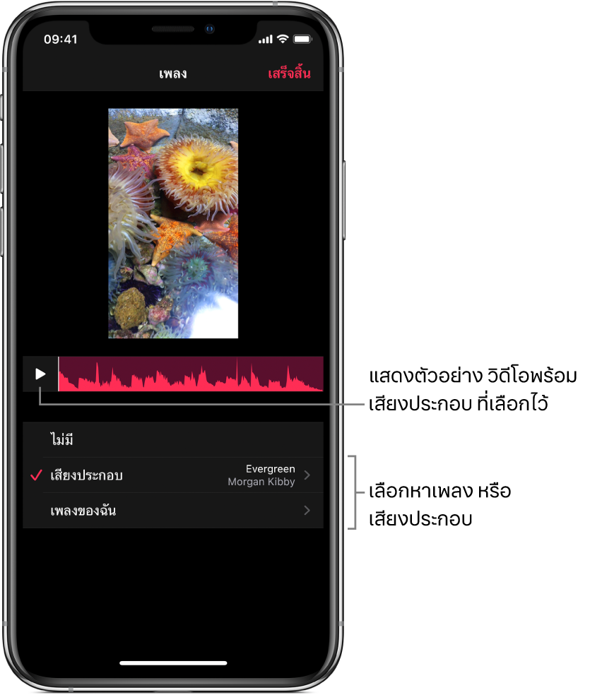 ปุ่มเล่นและรูปคลื่นเสียงใต้ภาพในหน้าต่างแสดง โดยมีตัวเลือกสำหรับเลือกหาเสียงประกอบหรือคลังเพลงของคุณ