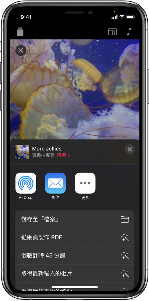 分享影片專案的選項，包括 AirDrop、「郵件」以及「儲存至檔案」。