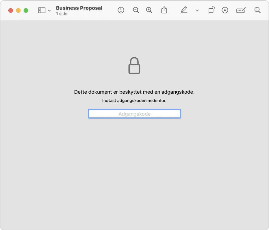 Et PDF-dokument, der er beskyttet med en adgangskode og har et låsesymbol og et felt til indtastning af adgangskoden, der åbner arkivet.