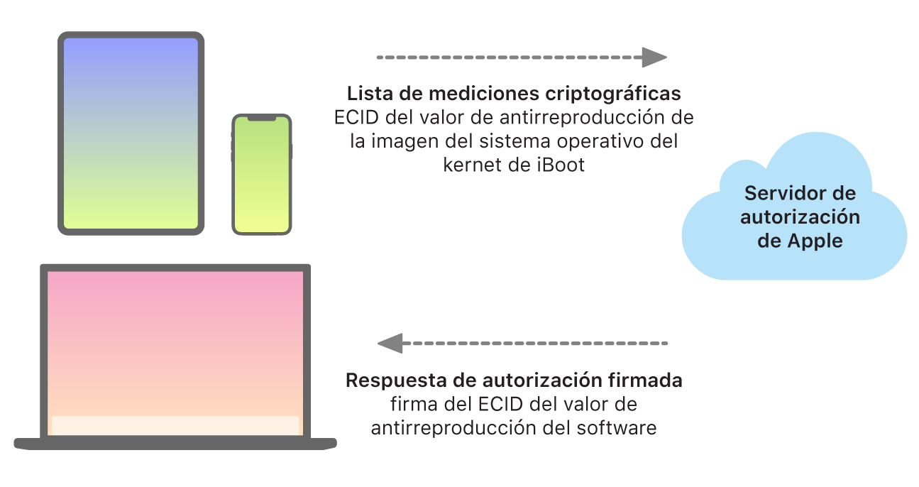 Un diagrama mostrando cómo los dispositivos Apple envían información al servidor de autorización de Apple, que a su vez devuelve una respuesta.