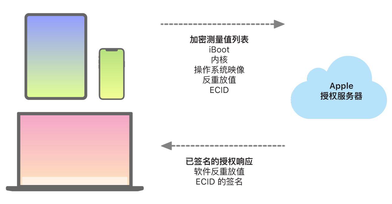 示意图显示 Apple 设备如何将信息发送到 Apple 授权服务器，以及服务器随后发回回复。