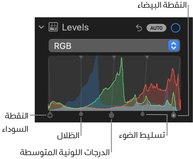 عناصر تحكم المستويات في الجزء ضبط، تُظهر مدرج RGB التكراري بمقابض أدناه، وتشمل (من اليمين إلى اليسار) النقطة السوداء والظلال والدرجات اللونية المتوسطة والتمييزات، والنقطة البيضاء.