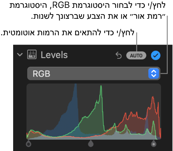 פקדי רמות בחלונית ״התאם״ המציגים את הכפתור ״אוטומטי״ בפינה השמאלית העליונה והיסטוגרמה של RGB מלמטה.