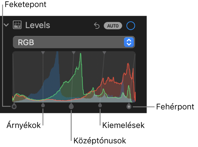 A Beállítás panel szintek vezérlői az RGB-hisztogrammal és az alatta látható fogókkal, többek közt (balról jobbra) a feketepont, az árnyékok, a középtónusok, a csúcsfények és a fehérpont vezérlőivel.