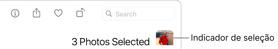 Indicador de seleção mostrando três fotos selecionadas.