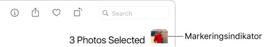En markeringsindikator som visar att tre bilder har markerats.