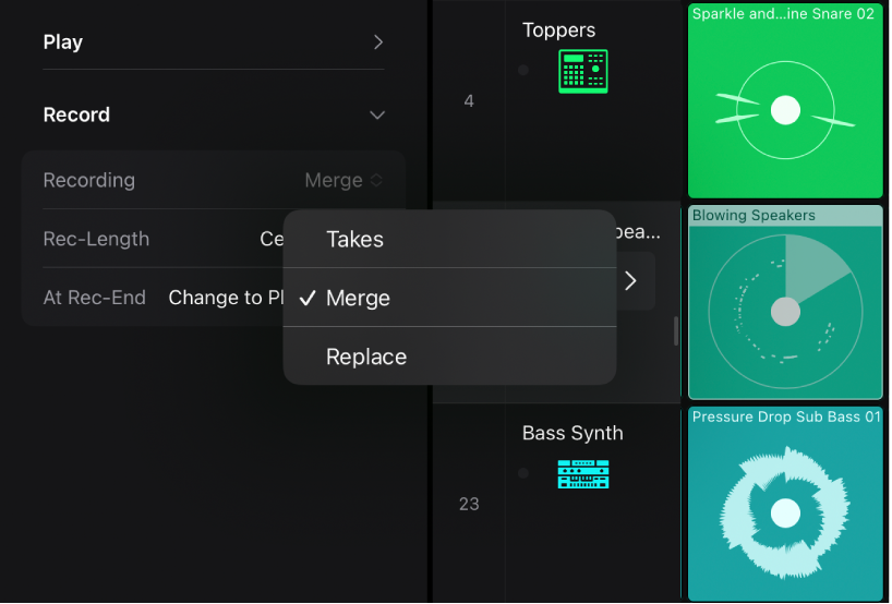 Figure. Recording setting in the Cell inspector showing the Recording modes.