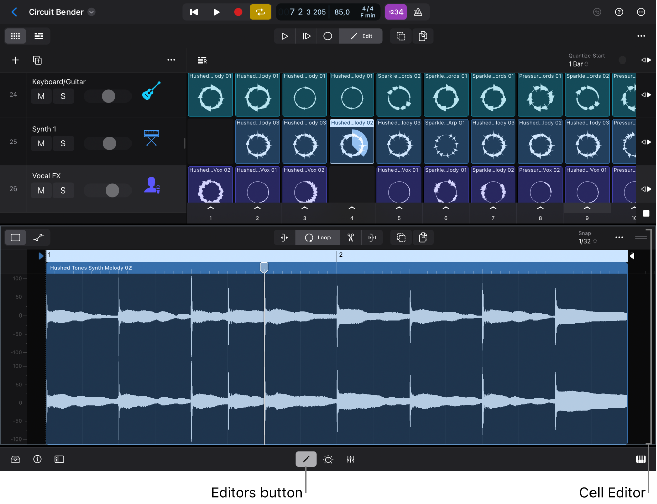 Figure. Cell Editor showing the audio waveform for the selected cell.